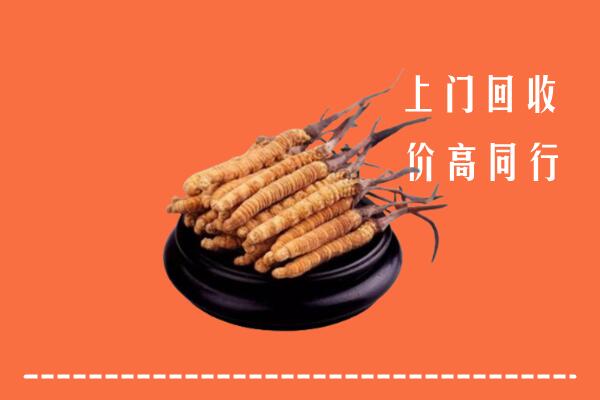 鹤峰县高价冬虫夏草回收多少钱每克