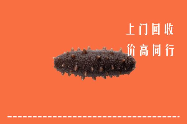 鹤峰县高价回收海参