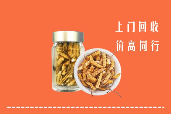 高价求购：鹤峰县回收冬虫夏草